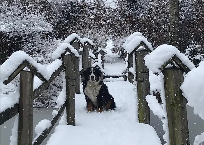 Chociwlanka Gospodarstwo agroturystyczne Bobolice (Koszalin)