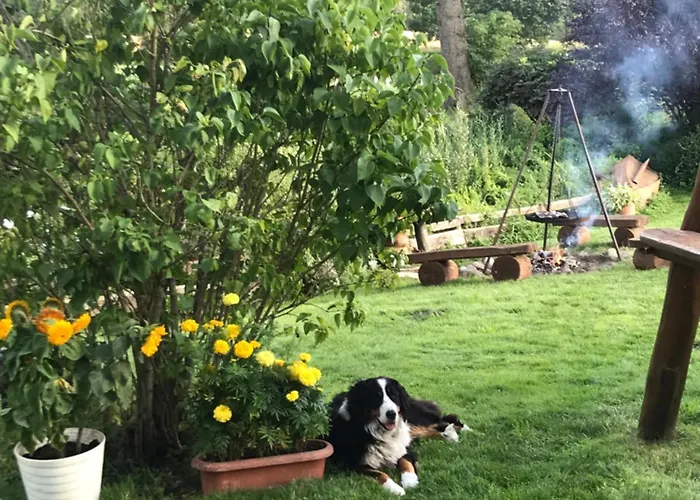 Chociwlanka Gospodarstwo agroturystyczne *